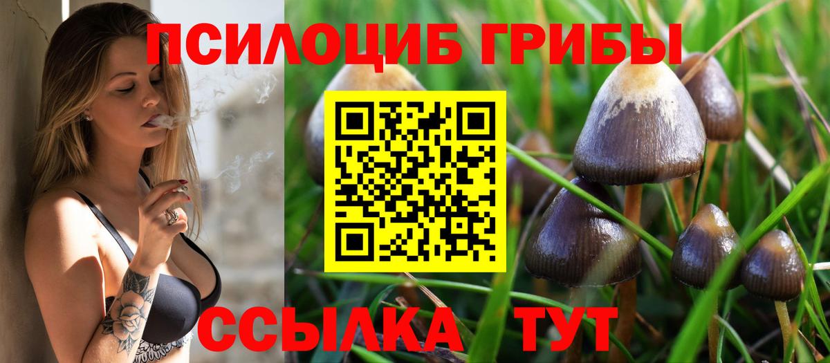 Псилоцибиновые грибы GOLDEN TEACHER  Галлюциногенные грибы прущие грибы  Грязи  Вход с VPN 