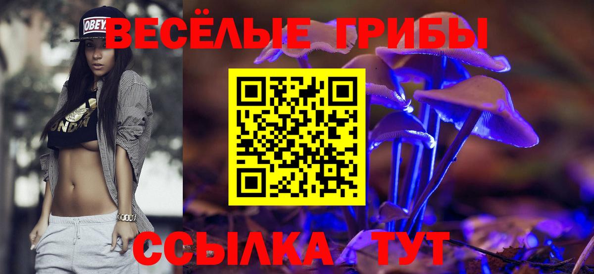 Галлюциногенные грибы ЛСД Грязи